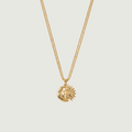 Cadena Isis