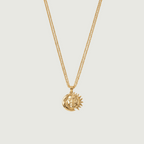 Cadena Isis